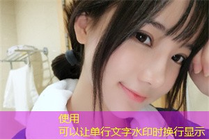 减少上海城市洪水的创新实施方案